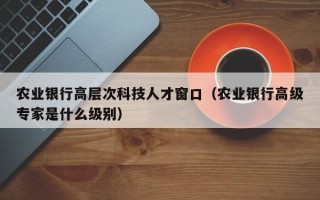 农业银行高层次科技人才窗口（农业银行高级专家是什么级别）