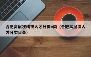 合肥高层次科技人才分类e类（合肥高层次人才分类目录）