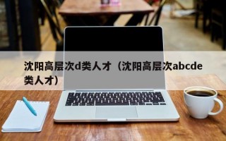沈阳高层次d类人才（沈阳高层次abcde类人才）