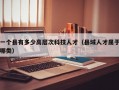 一个县有多少高层次科技人才（县域人才属于哪类）