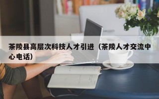 茶陵县高层次科技人才引进（茶陵人才交流中心电话）