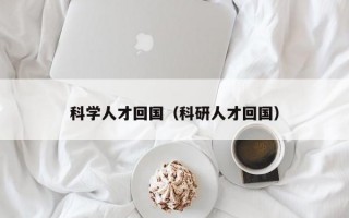 科学人才回国（科研人才回国）