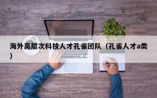 海外高层次科技人才孔雀团队（孔雀人才a类）