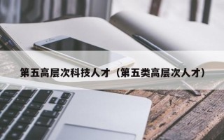第五高层次科技人才（第五类高层次人才）