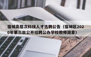 宿城高层次科技人才选聘公告（宿城区2020年第三批公开招聘公办学校教师简章）