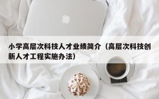 小学高层次科技人才业绩简介（高层次科技创新人才工程实施办法）
