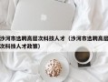 沙河市选聘高层次科技人才（沙河市选聘高层次科技人才政策）