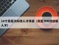 14个高层次科技人才项目（高层次科技创新人才）