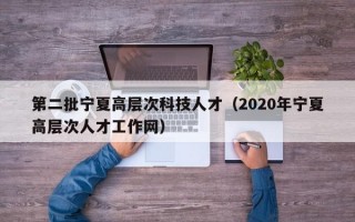 第二批宁夏高层次科技人才（2020年宁夏高层次人才工作网）