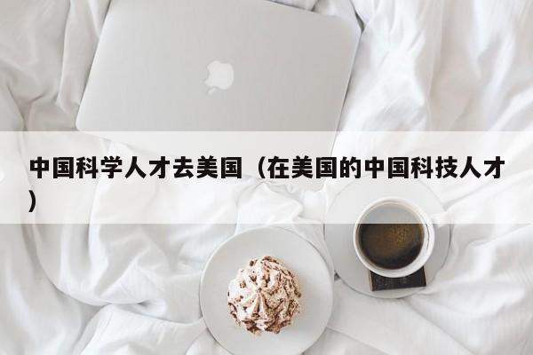 中国科学人才去美国（在美国的中国科技人才）-第1张图片-科学人才网 - 优质科学人才招聘平台