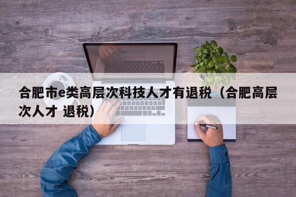 合肥市e类高层次科技人才有退税（合肥高层次人才 退税）-第1张图片-科学人才网 - 优质科学人才招聘平台