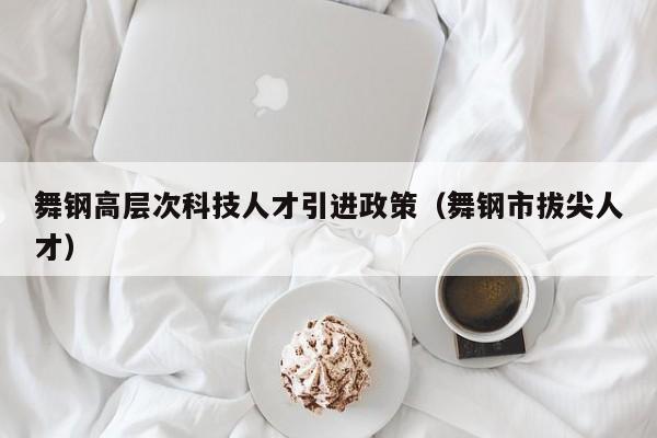 舞钢高层次科技人才引进政策（舞钢市拔尖人才）-第1张图片-科学人才网 - 优质科学人才招聘平台