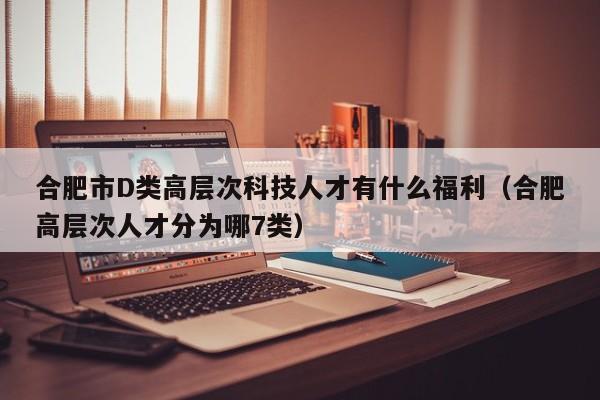 合肥市D类高层次科技人才有什么福利（合肥高层次人才分为哪7类）-第1张图片-科学人才网 - 优质科学人才招聘平台